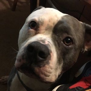 Meet your Posher, Roderick